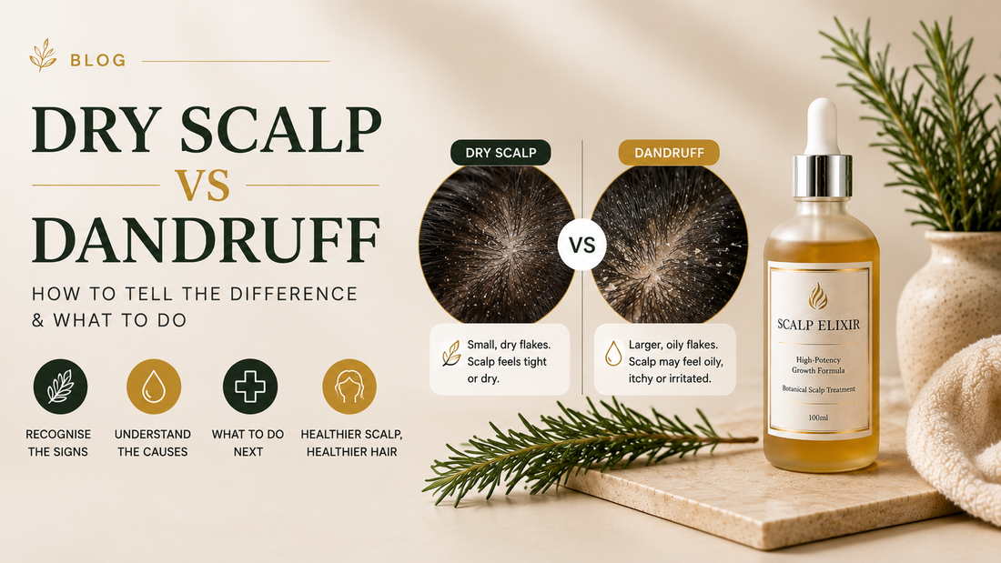 Dry Scalp vs Dandruff: How to Tell the Difference & What to Do